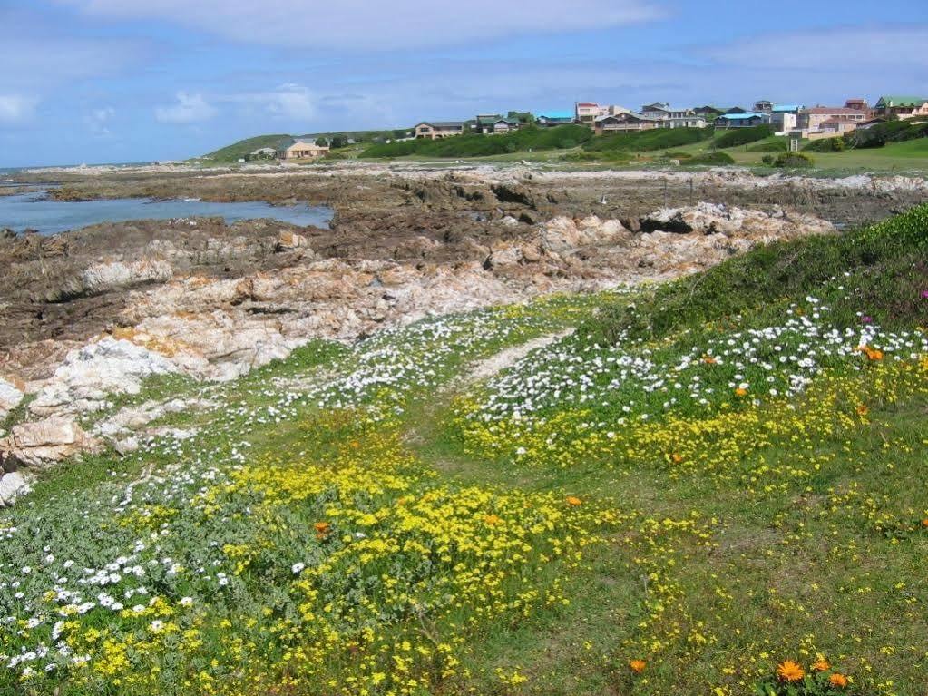 Aire Del Mar Guest House Kleinbaai Kültér fotó